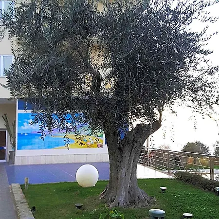 فندق E Il Faro Acciaroli 3*