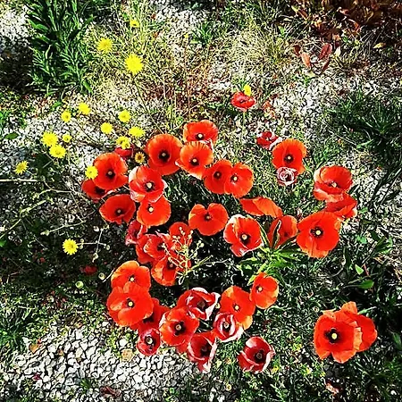 E Il Faro Acciaroli 3*